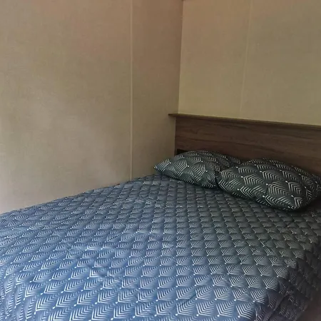 Des Catalpas Vollore-Ville